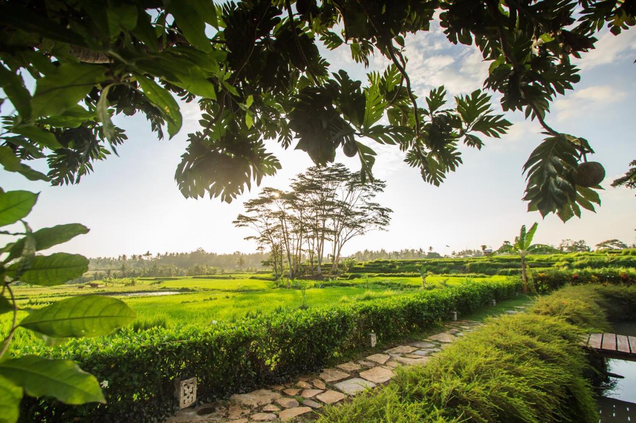 Griya Kcb 4* Ubud