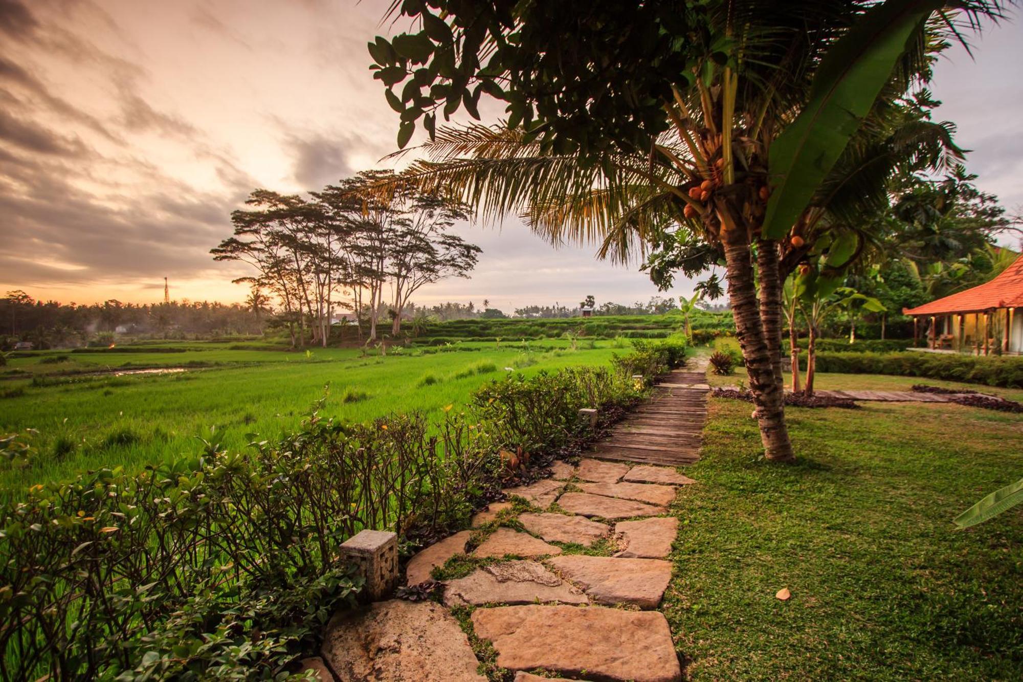 Griya Kcb Hotel Ubud