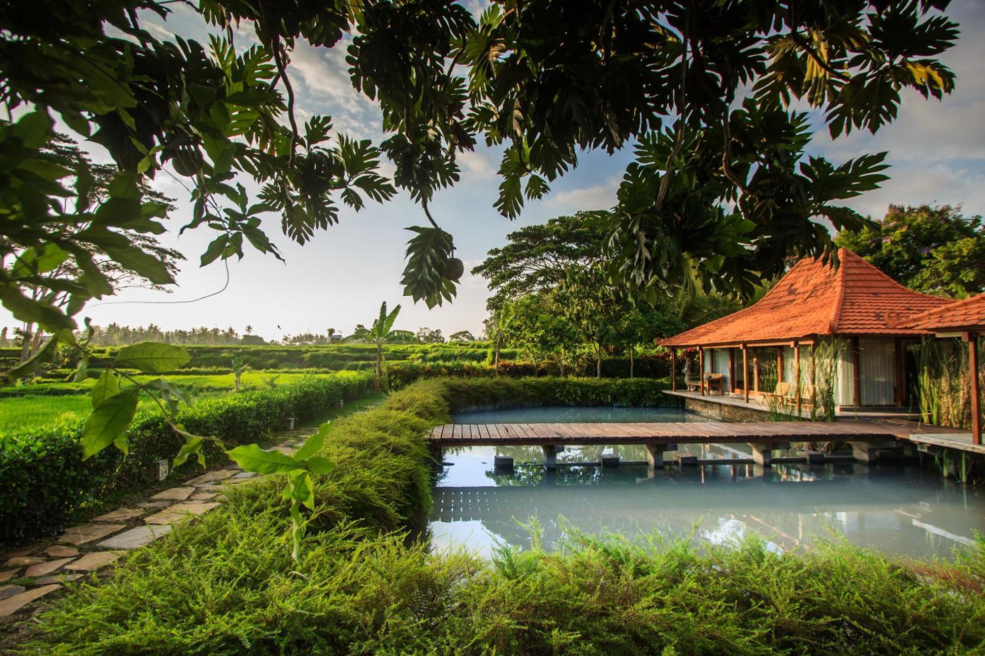Griya Kcb Hotel Ubud