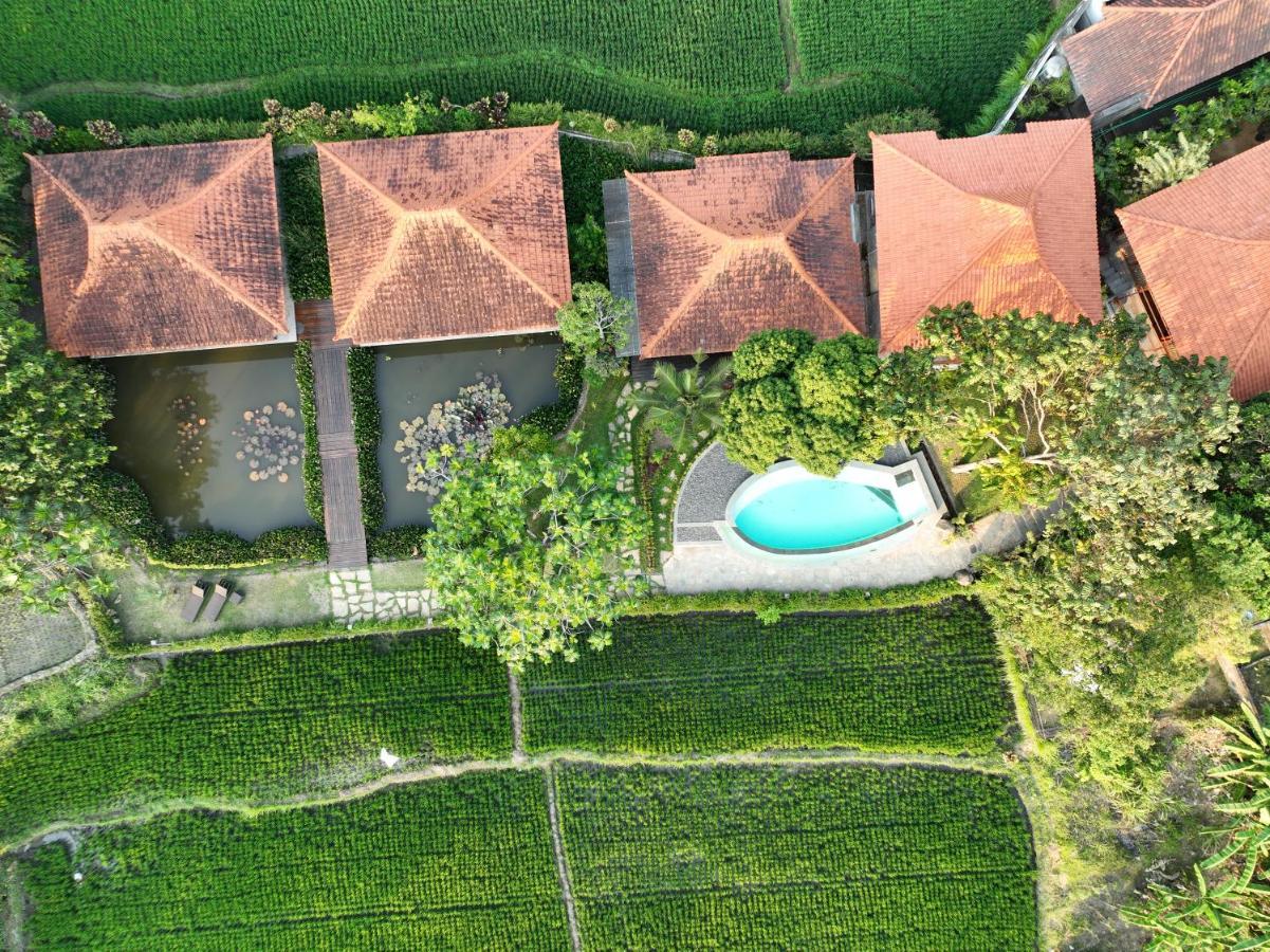 Griya Kcb Hotel Ubud